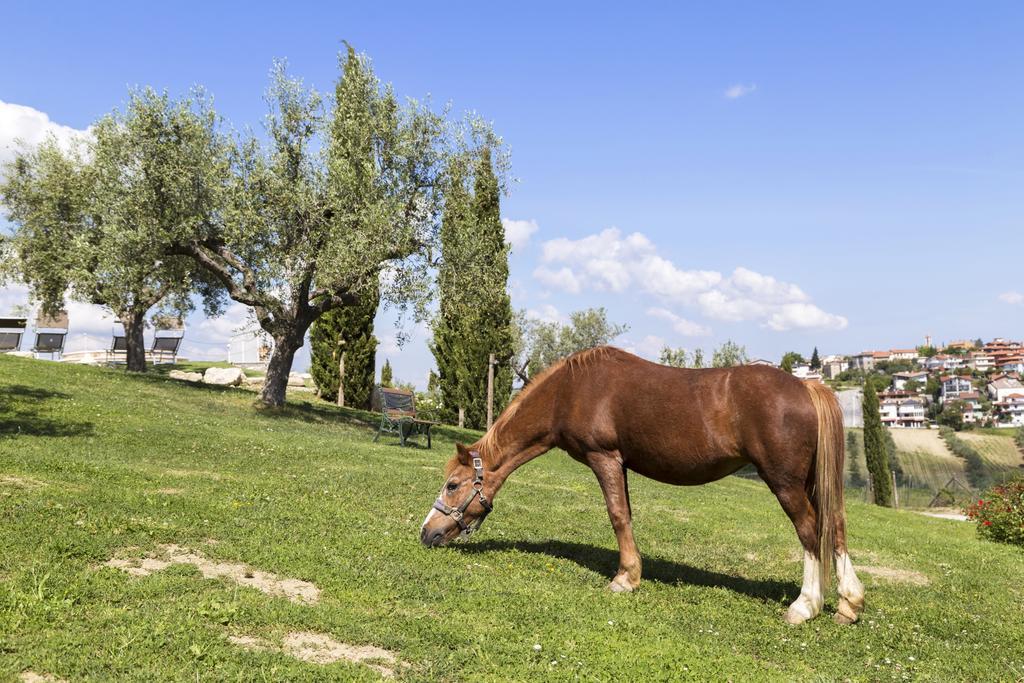 Agriturismo Le Bosche سان مارينو المظهر الخارجي الصورة