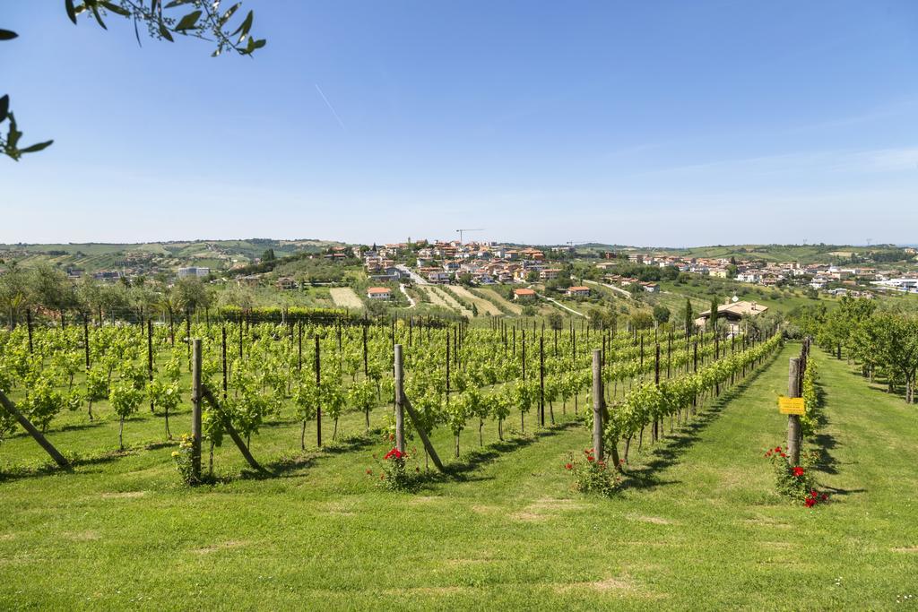 Agriturismo Le Bosche سان مارينو المظهر الخارجي الصورة