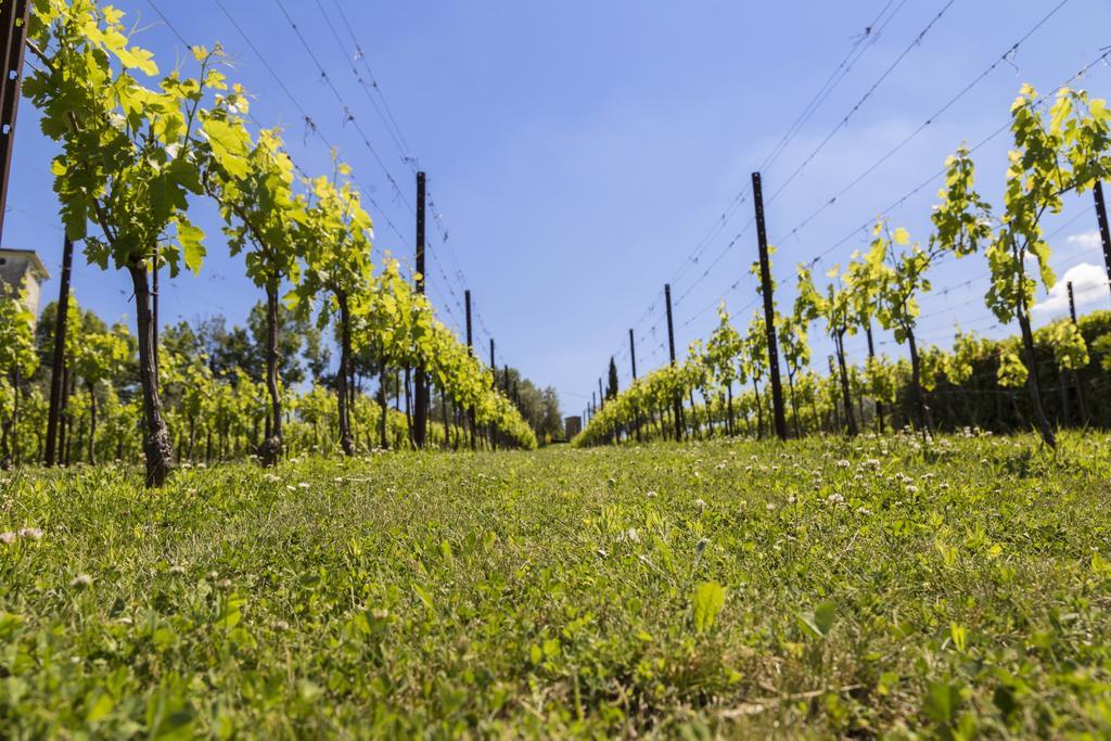 Agriturismo Le Bosche سان مارينو المظهر الخارجي الصورة